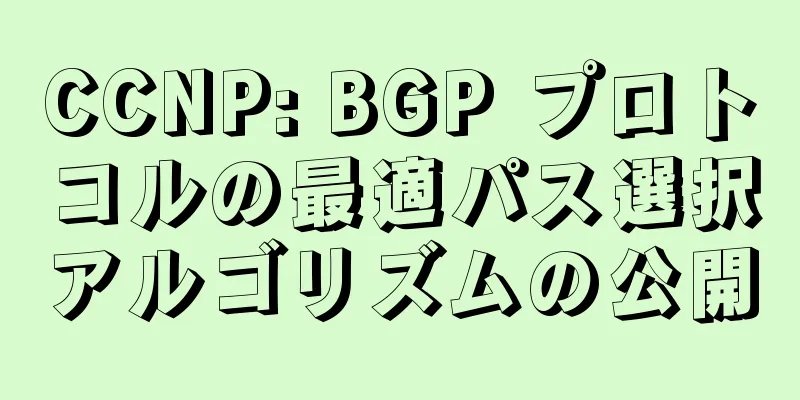 CCNP: BGP プロトコルの最適パス選択アルゴリズムの公開