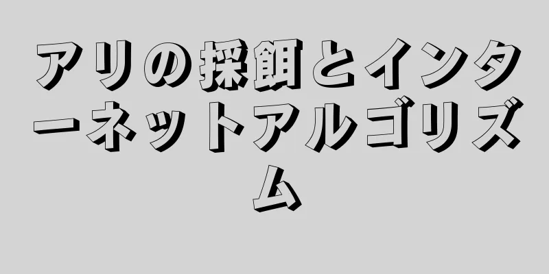 アリの採餌とインターネットアルゴリズム