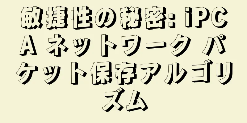 敏捷性の秘密: iPCA ネットワーク パケット保存アルゴリズム