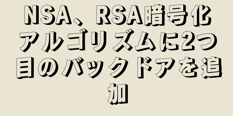 NSA、RSA暗号化アルゴリズムに2つ目のバックドアを追加