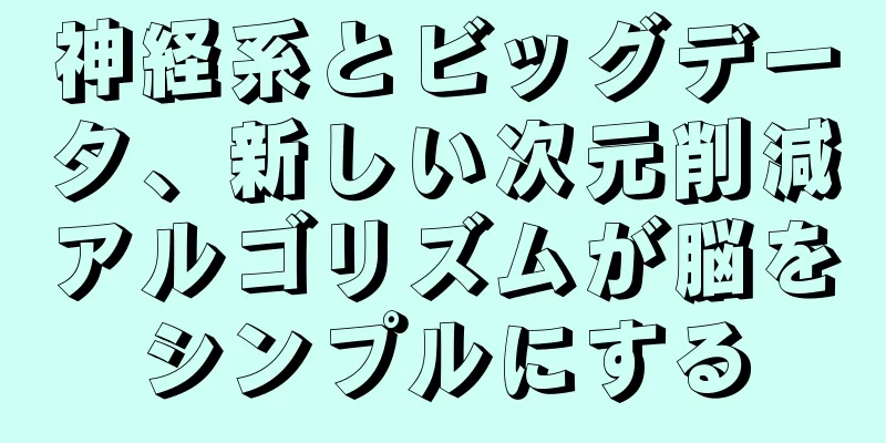 神経系とビッグデータ、新しい次元削減アルゴリズムが脳をシンプルにする