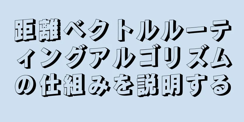 距離ベクトルルーティングアルゴリズムの仕組みを説明する