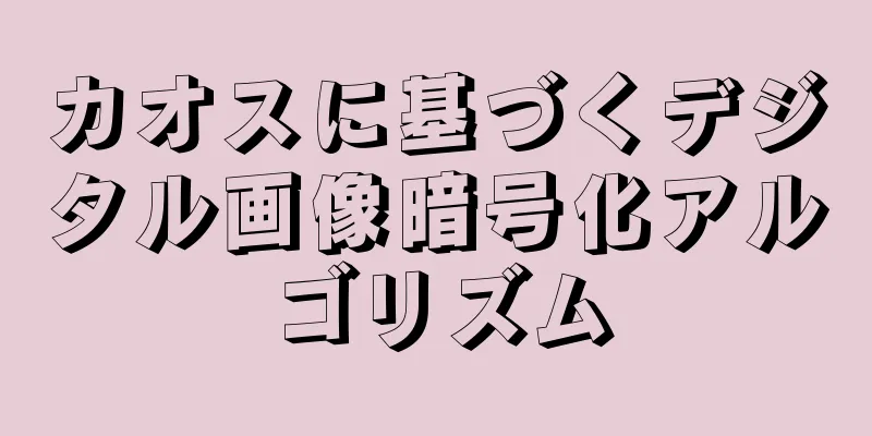 カオスに基づくデジタル画像暗号化アルゴリズム