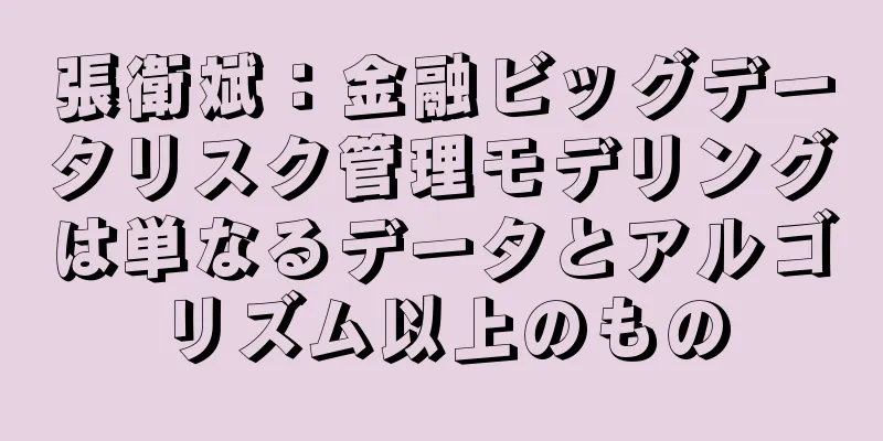 張衛斌：金融ビッグデータリスク管理モデリングは単なるデータとアルゴリズム以上のもの