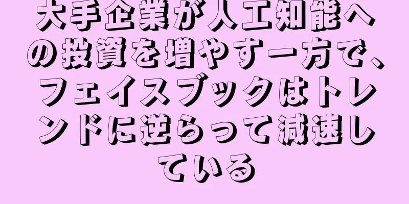 大手企業が人工知能への投資を増やす一方で、フェイスブックはトレンドに逆らって減速している