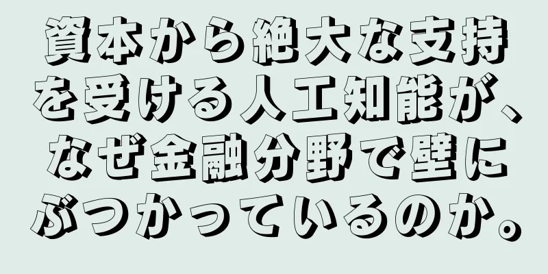 資本から絶大な支持を受ける人工知能が、なぜ金融分野で壁にぶつかっているのか。