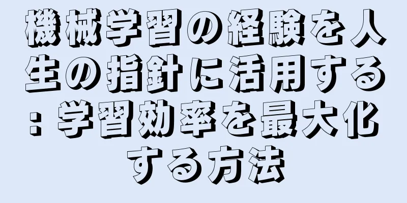 機械学習の経験を人生の指針に活用する: 学習効率を最大化する方法