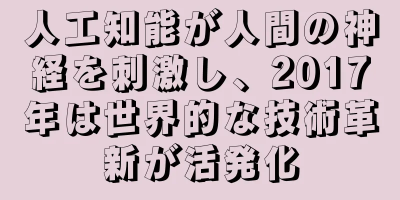 人工知能が人間の神経を刺激し、2017年は世界的な技術革新が活発化