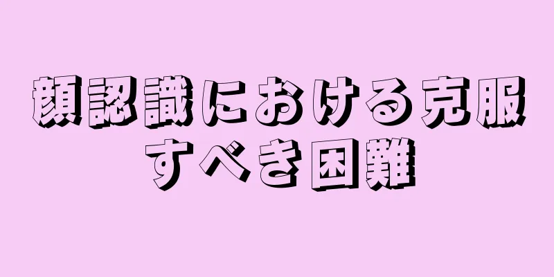 顔認識における克服すべき困難