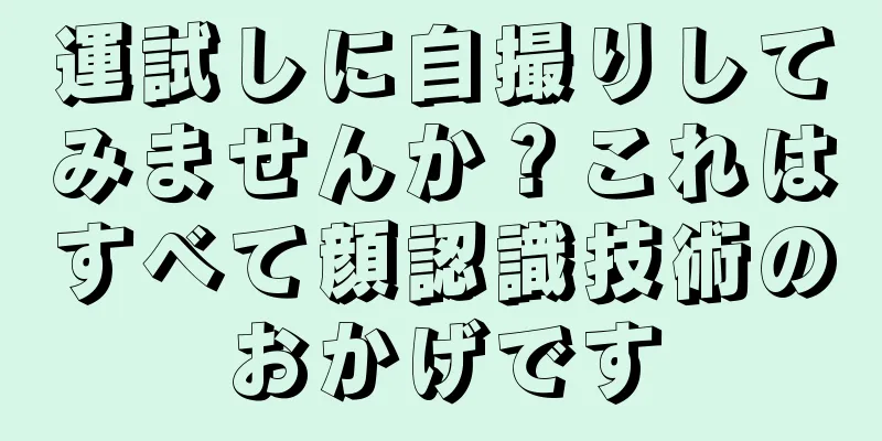 運試しに自撮りしてみませんか？これはすべて顔認識技術のおかげです