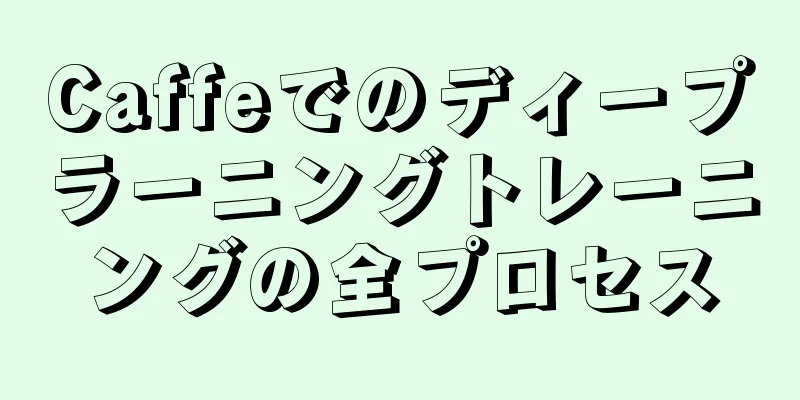 Caffeでのディープラーニングトレーニングの全プロセス