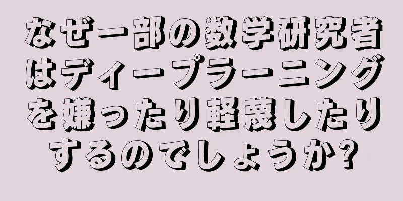 なぜ一部の数学研究者はディープラーニングを嫌ったり軽蔑したりするのでしょうか?
