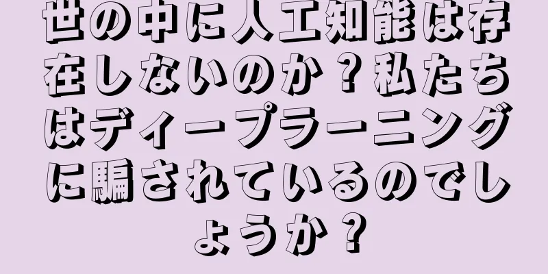 世の中に人工知能は存在しないのか？私たちはディープラーニングに騙されているのでしょうか？