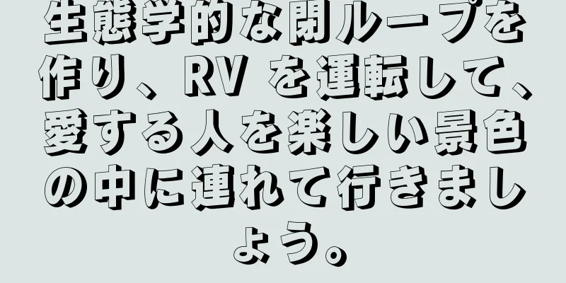 生態学的な閉ループを作り、RV を運転して、愛する人を楽しい景色の中に連れて行きましょう。