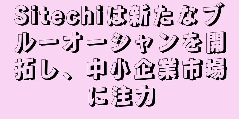 Sitechiは新たなブルーオーシャンを開拓し、中小企業市場に注力