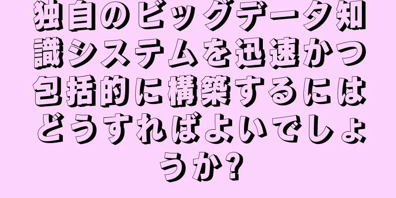 独自のビッグデータ知識システムを迅速かつ包括的に構築するにはどうすればよいでしょうか?