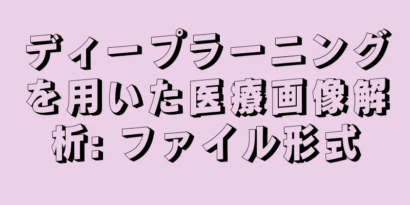 ディープラーニングを用いた医療画像解析: ファイル形式