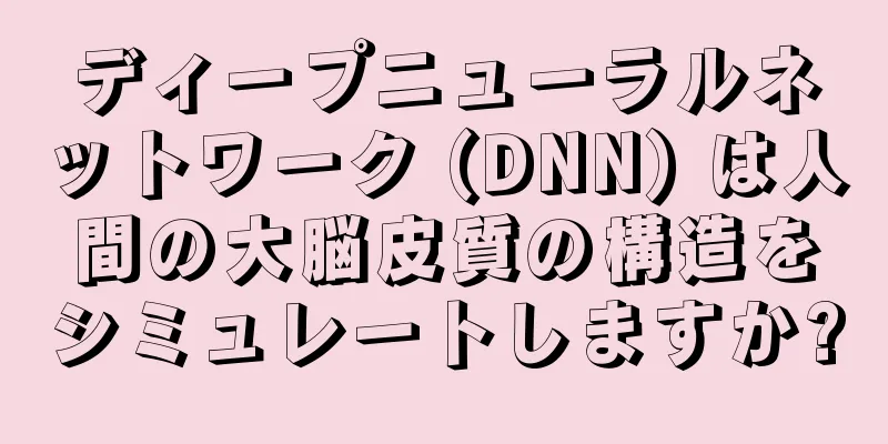 ディープニューラルネットワーク (DNN) は人間の大脳皮質の構造をシミュレートしますか?