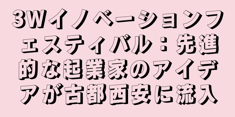 3Wイノベーションフェスティバル：先進的な起業家のアイデアが古都西安に流入