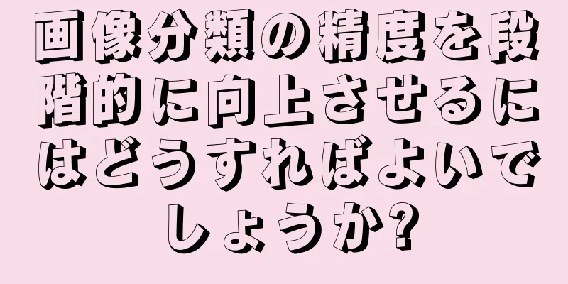 画像分類の精度を段階的に向上させるにはどうすればよいでしょうか?