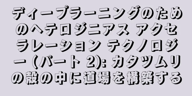 ディープラーニングのためのヘテロジニアス アクセラレーション テクノロジー (パート 2): カタツムリの殻の中に道場を構築する