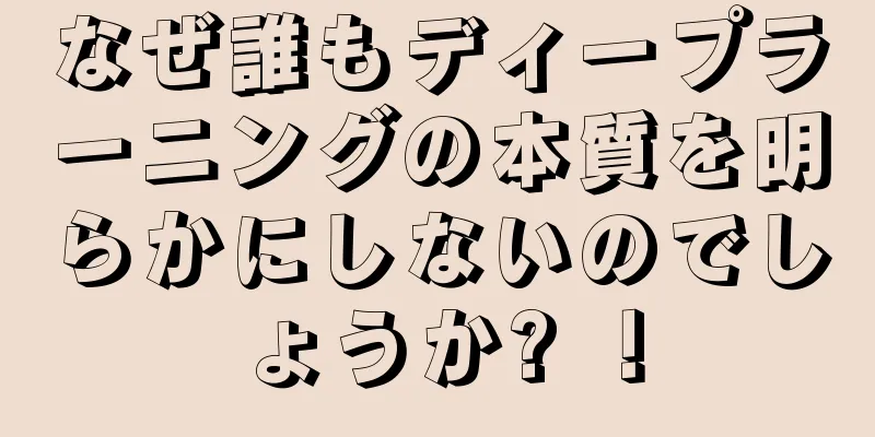 なぜ誰もディープラーニングの本質を明らかにしないのでしょうか? ！