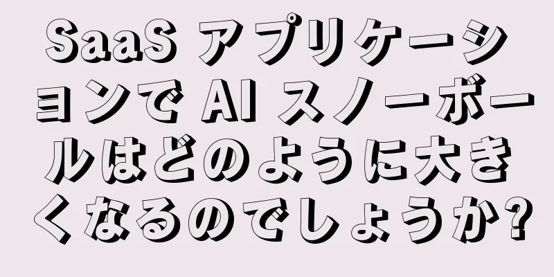 SaaS アプリケーションで AI スノーボールはどのように大きくなるのでしょうか?