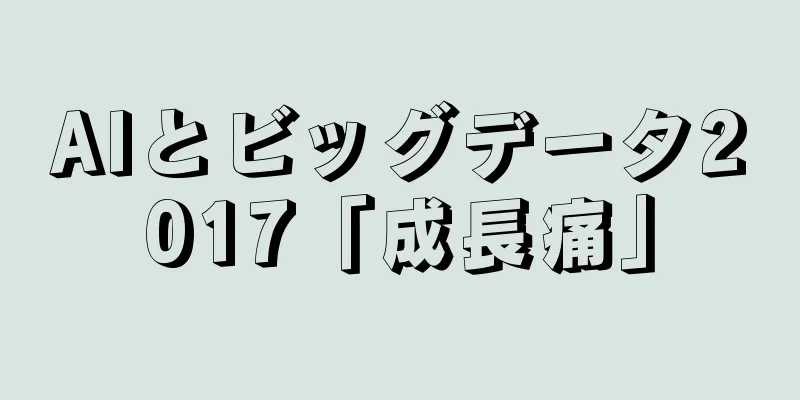AIとビッグデータ2017「成長痛」