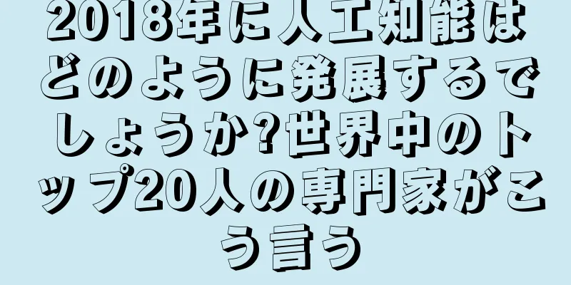 2018年に人工知能はどのように発展するでしょうか?世界中のトップ20人の専門家がこう言う