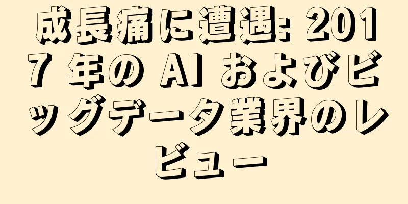 成長痛に遭遇: 2017 年の AI およびビッグデータ業界のレビュー