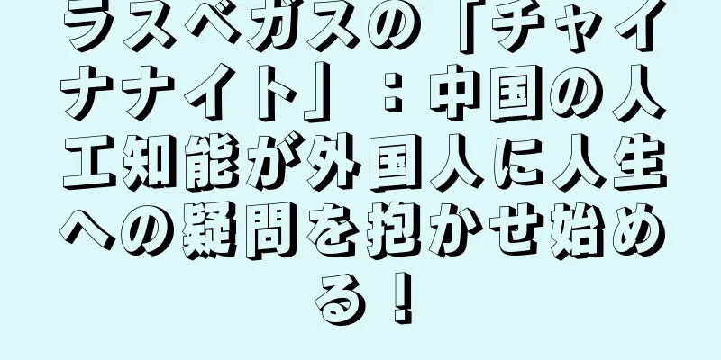ラスベガスの「チャイナナイト」：中国の人工知能が外国人に人生への疑問を抱かせ始める！