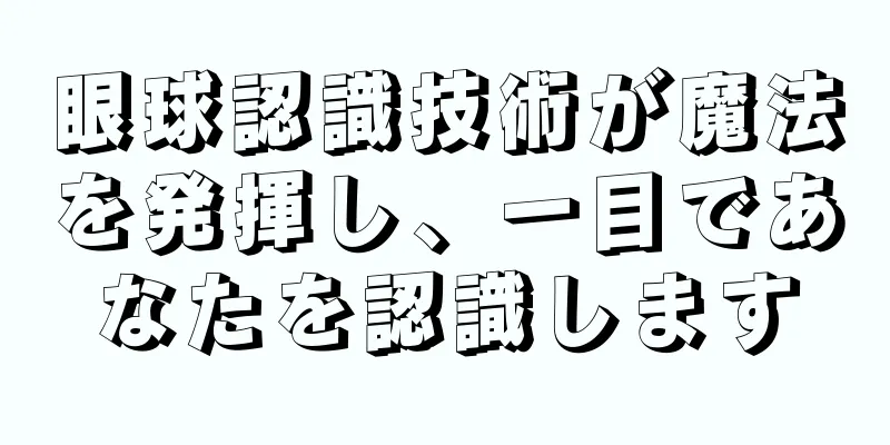 眼球認識技術が魔法を発揮し、一目であなたを認識します
