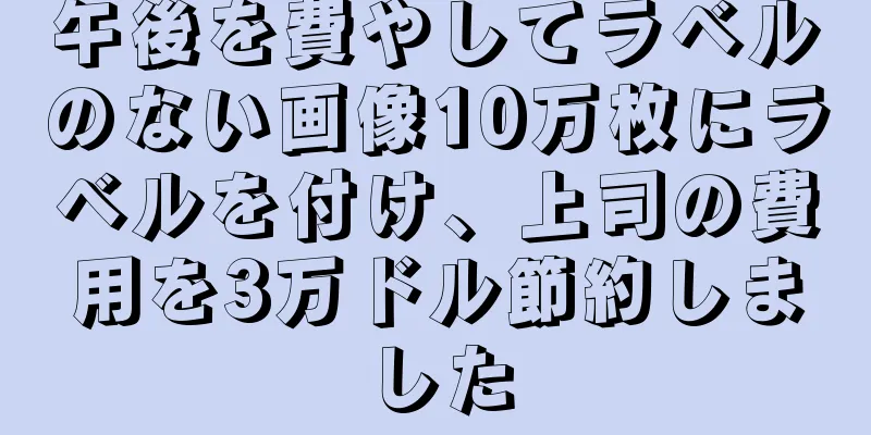 午後を費やしてラベルのない画像10万枚にラベルを付け、上司の費用を3万ドル節約しました