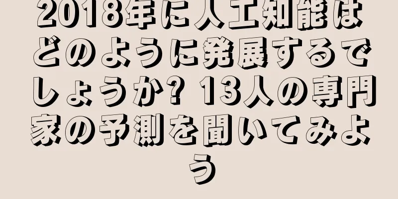 2018年に人工知能はどのように発展するでしょうか? 13人の専門家の予測を聞いてみよう