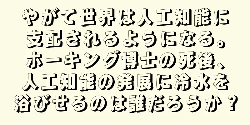 やがて世界は人工知能に支配されるようになる。ホーキング博士の死後、人工知能の発展に冷水を浴びせるのは誰だろうか？