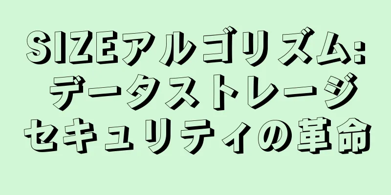 SIZEアルゴリズム: データストレージセキュリティの革命