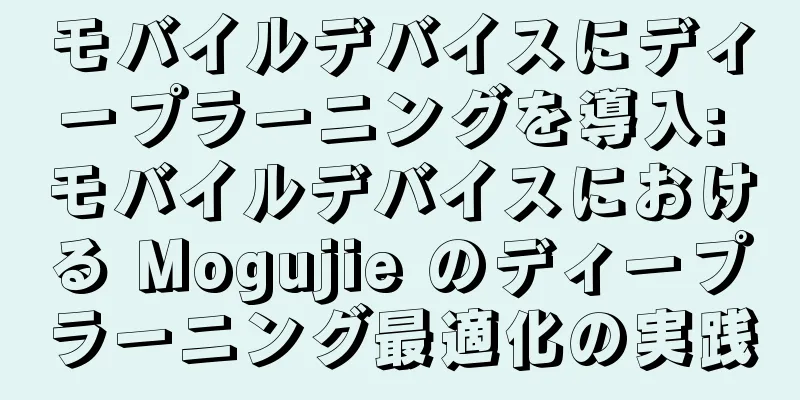 モバイルデバイスにディープラーニングを導入: モバイルデバイスにおける Mogujie のディープラーニング最適化の実践
