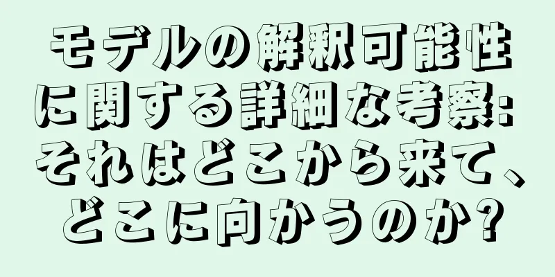 モデルの解釈可能性に関する詳細な考察: それはどこから来て、どこに向かうのか?