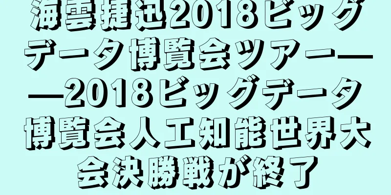 海雲捷迅2018ビッグデータ博覧会ツアー——2018ビッグデータ博覧会人工知能世界大会決勝戦が終了