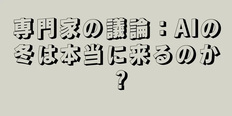 専門家の議論：AIの冬は本当に来るのか？