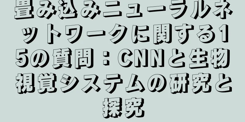 畳み込みニューラルネットワークに関する15の質問：CNNと生物視覚システムの研究と探究