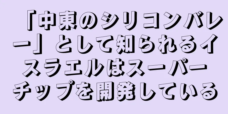 「中東のシリコンバレー」として知られるイスラエルはスーパーチップを開発している