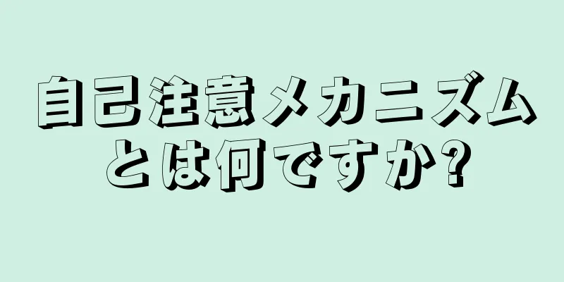 自己注意メカニズムとは何ですか?