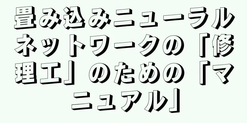 畳み込みニューラルネットワークの「修理工」のための「マニュアル」