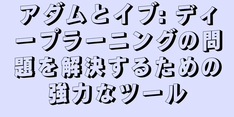 アダムとイブ: ディープラーニングの問題を解決するための強力なツール