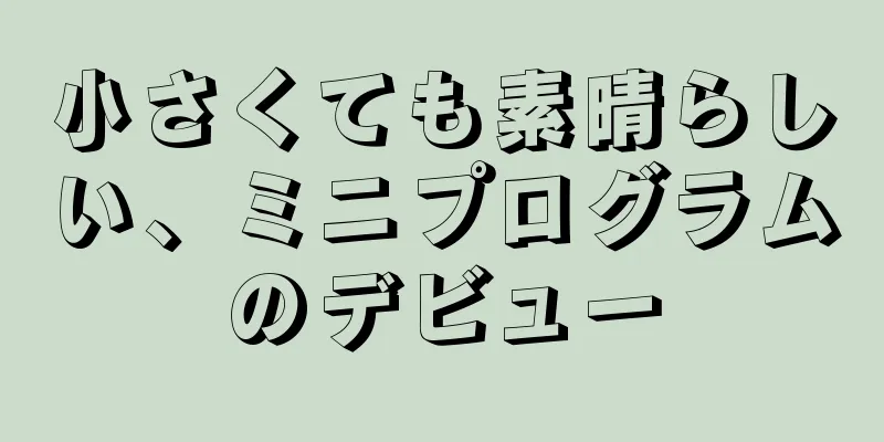 小さくても素晴らしい、ミニプログラムのデビュー