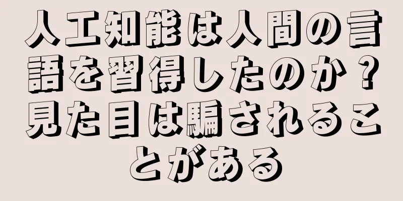 人工知能は人間の言語を習得したのか？見た目は騙されることがある