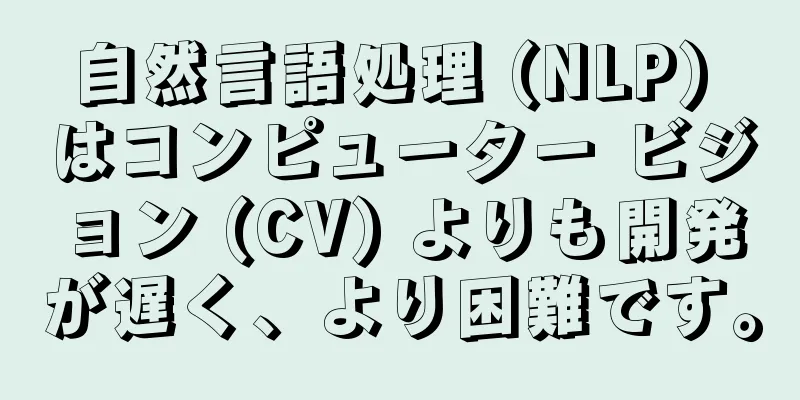 自然言語処理 (NLP) はコンピューター ビジョン (CV) よりも開発が遅く、より困難です。