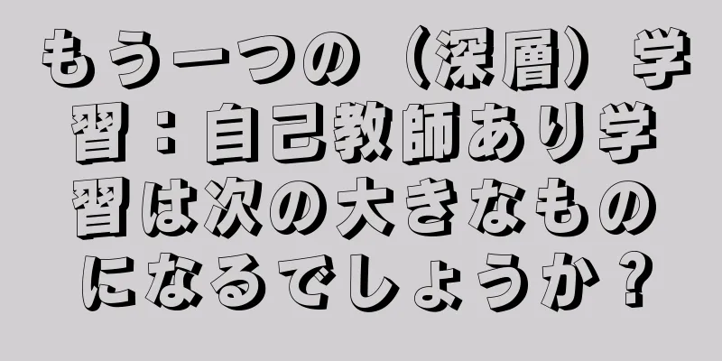 もう一つの（深層）学習：自己教師あり学習は次の大きなものになるでしょうか？