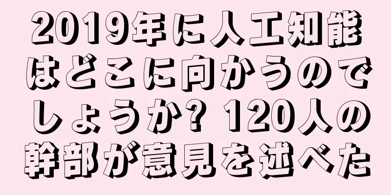 2019年に人工知能はどこに向かうのでしょうか? 120人の幹部が意見を述べた